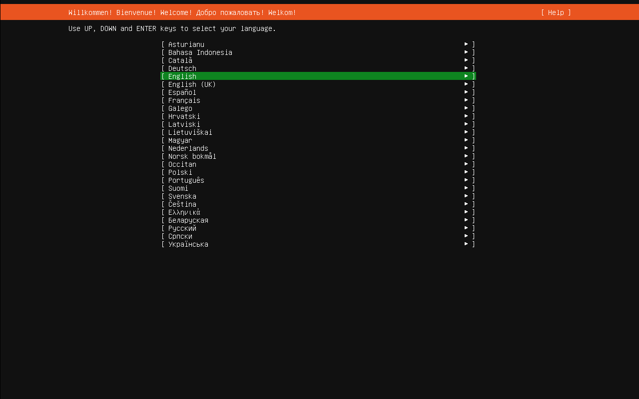 Ubuntu 24.04 Server 版系统安装及配置